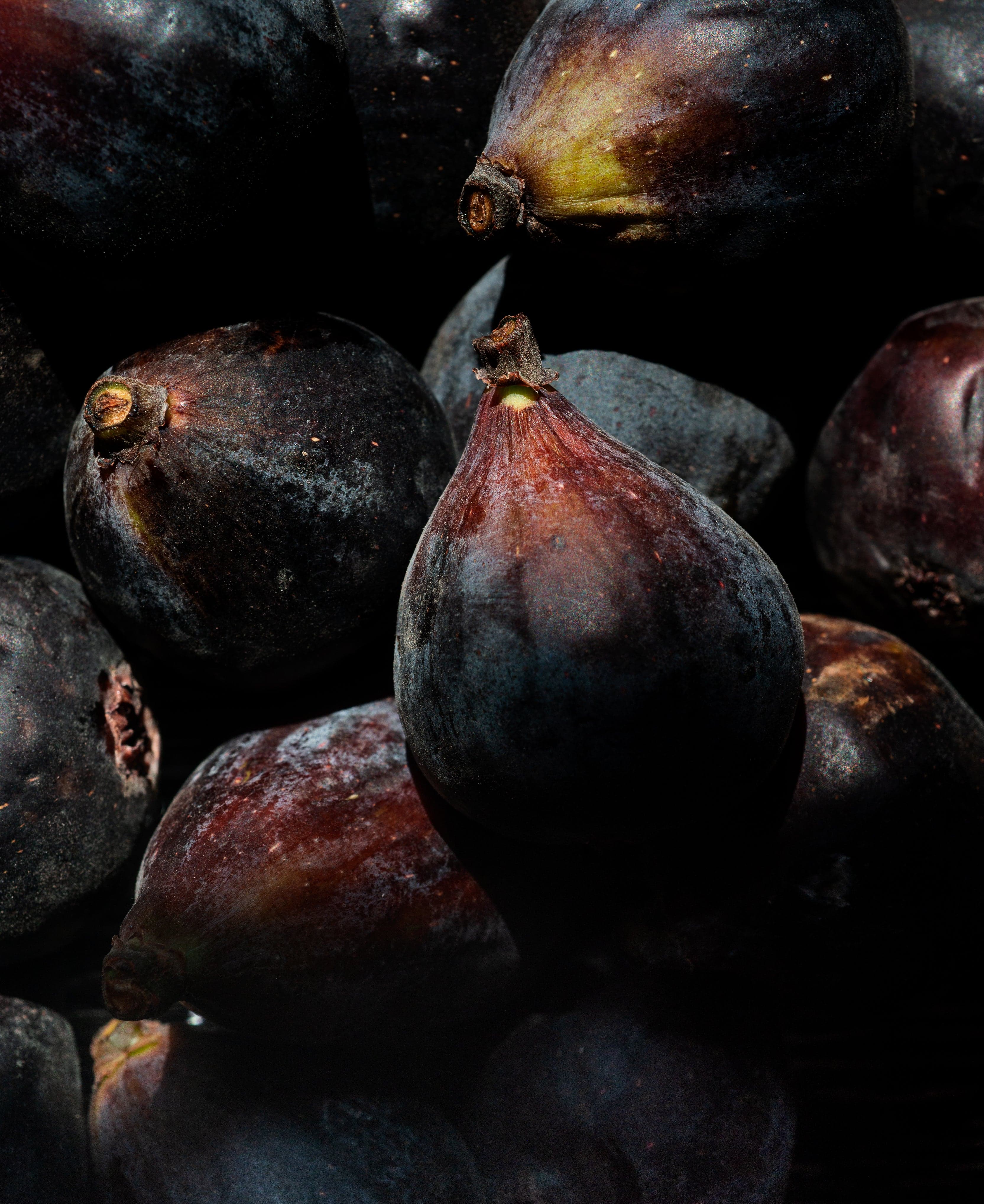 Fig